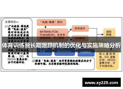 体育训练营长期跟踪机制的优化与实施策略分析