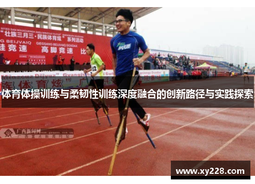 体育体操训练与柔韧性训练深度融合的创新路径与实践探索